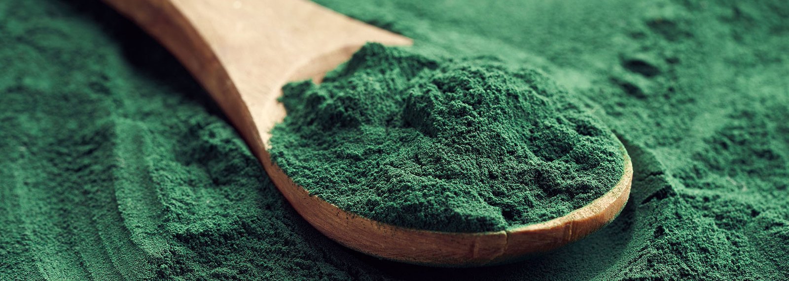 Spirulina Powder