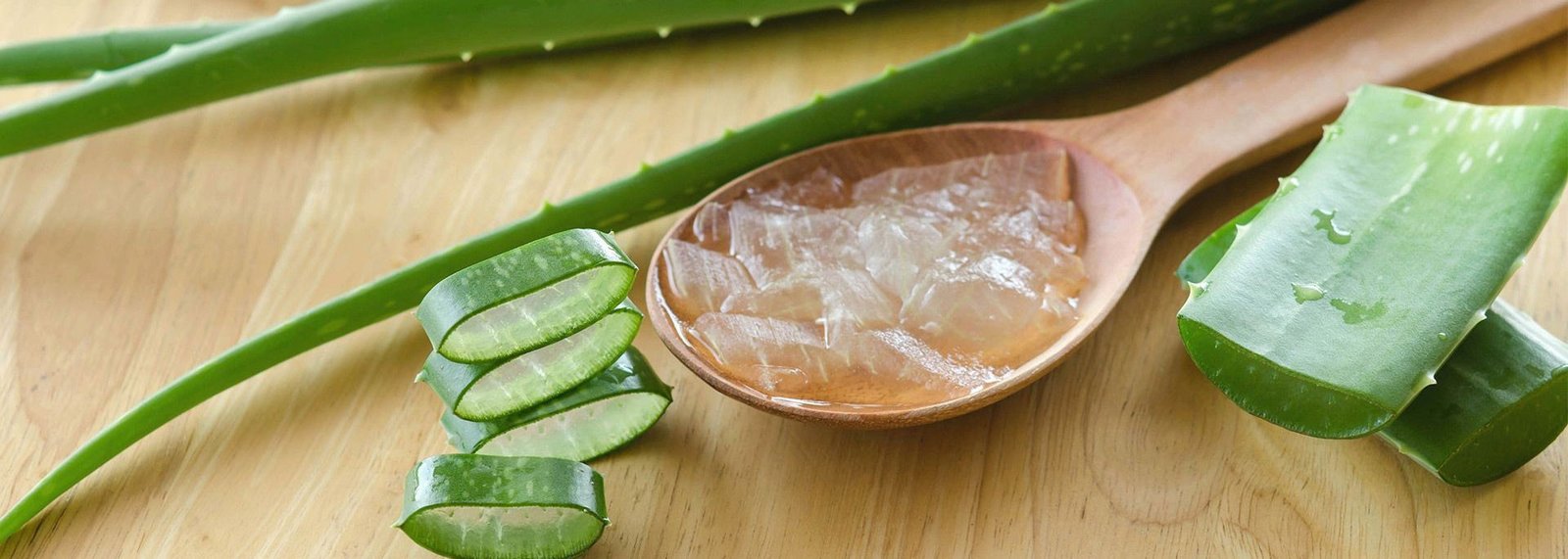 Aloe Vera Extract Powder