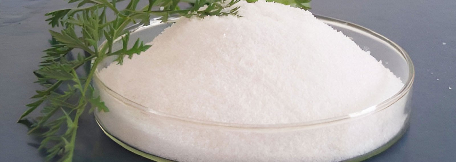 Sodium Benzoate