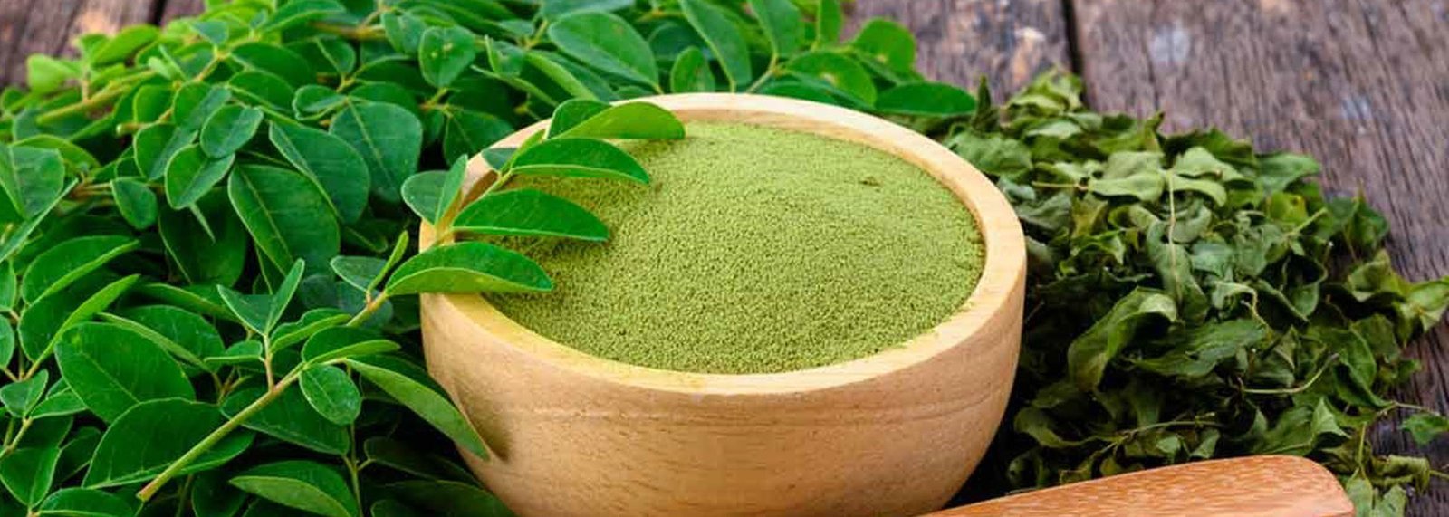 Moringa Powder