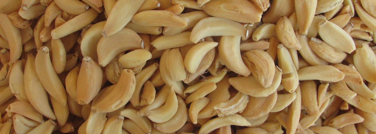 Dehydrated Garlic Flakes