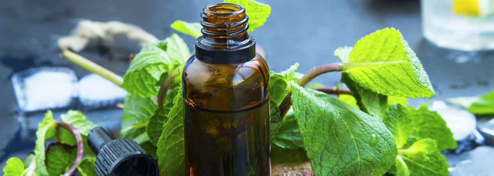 Peppermint Oil