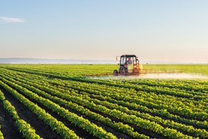 Agriculture